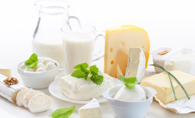 Simental Süt Çiftliği