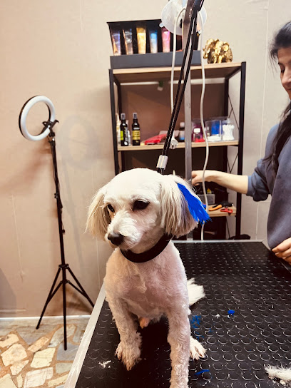 Şansella Pet Kuaför Pet Otel Pet Kreş