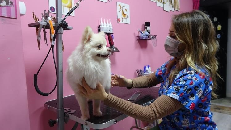 Şansella Pet Kuaför Pet Otel Pet Kreş