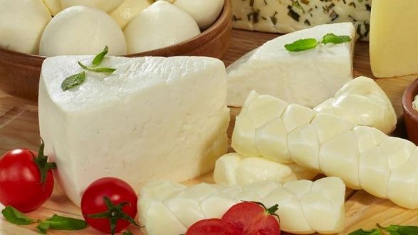 Simental Süt Çiftliği