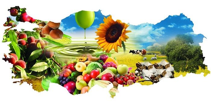 AR-İN TARIM