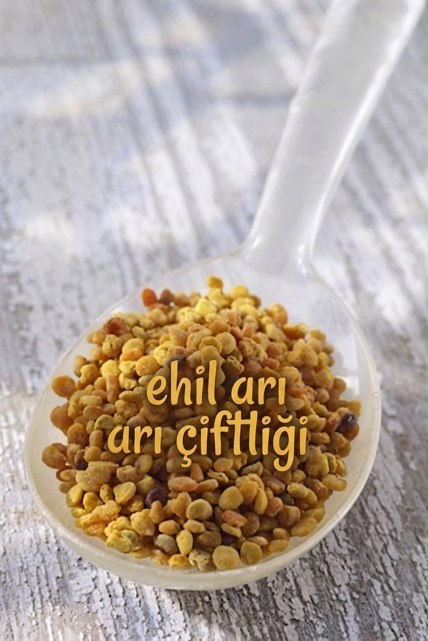 Ehil Arıcılık