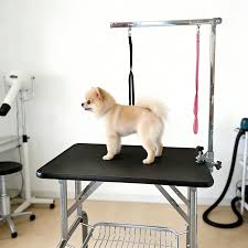 Şansella Pet Kuaför Pet Otel Pet Kreş