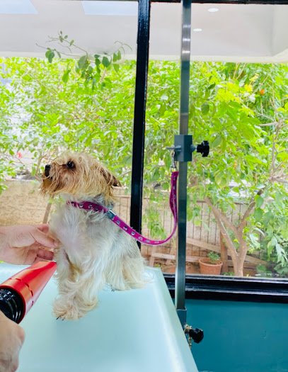 Şansella Pet Kuaför Pet Otel Pet Kreş