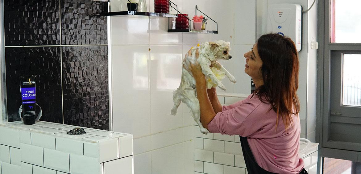 Şansella Pet Kuaför Pet Otel Pet Kreş