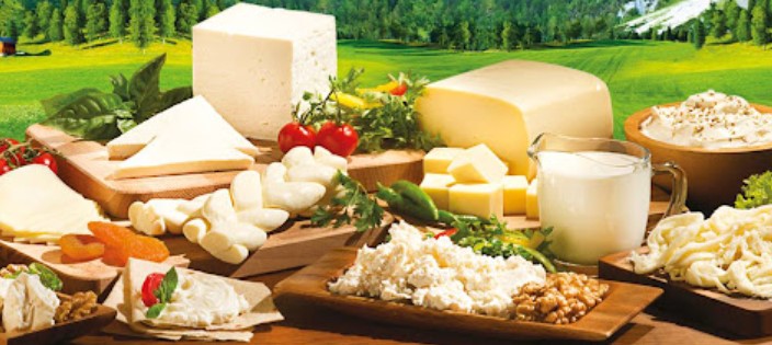 Simental Süt Çiftliği